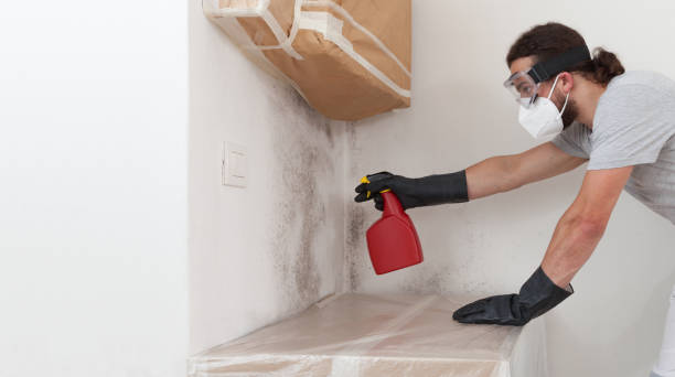 Professional Crawl Space Mold Remediation technician working in Westmont, NJ