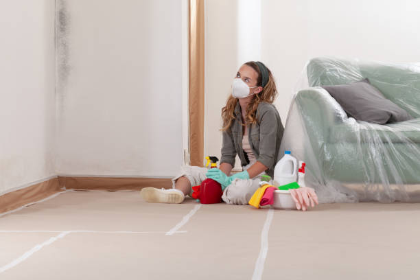 Reliable Crawl Space Mold Remediation contractor in Westmont, NJ by 24 Hour Mold Removal